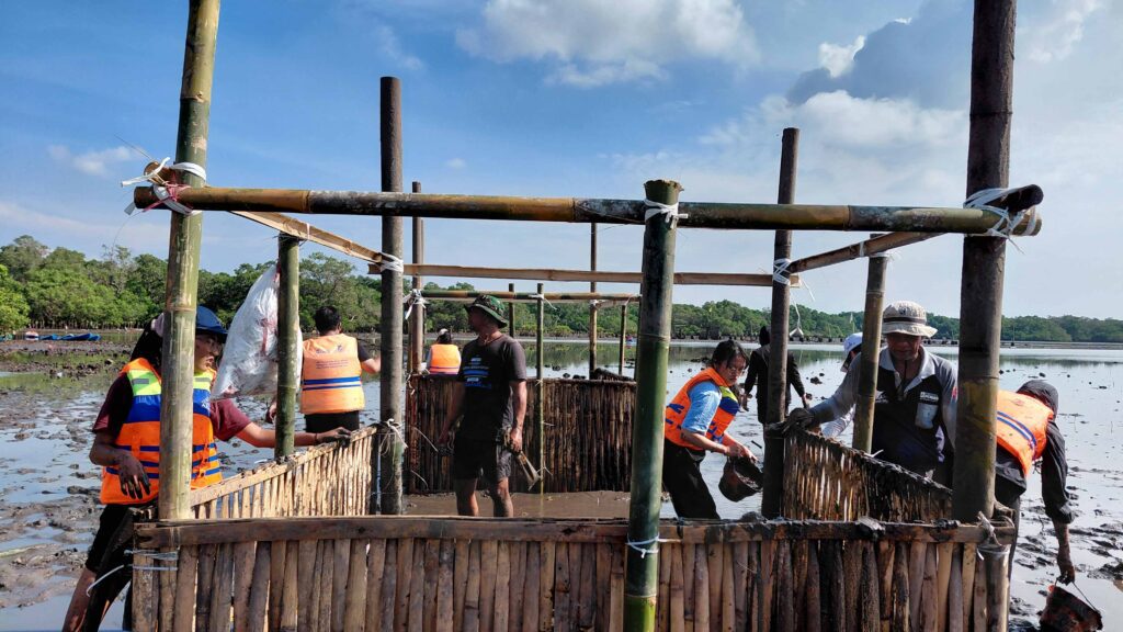 Hari kedua mangrove planting bersama relawan  Regenerative Bali Program (RBP) di Batu Lumbang