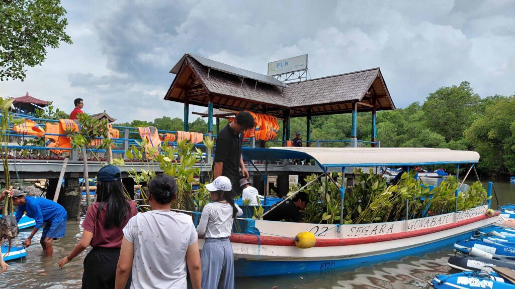 Hari ketiga mangrove planting bersama relawan  Regenerative Bali Program (RBP) di Batu Lumbang
